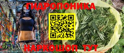 шишки Донской