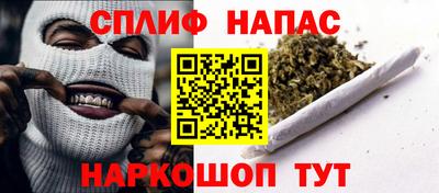 МДПВ Дубна